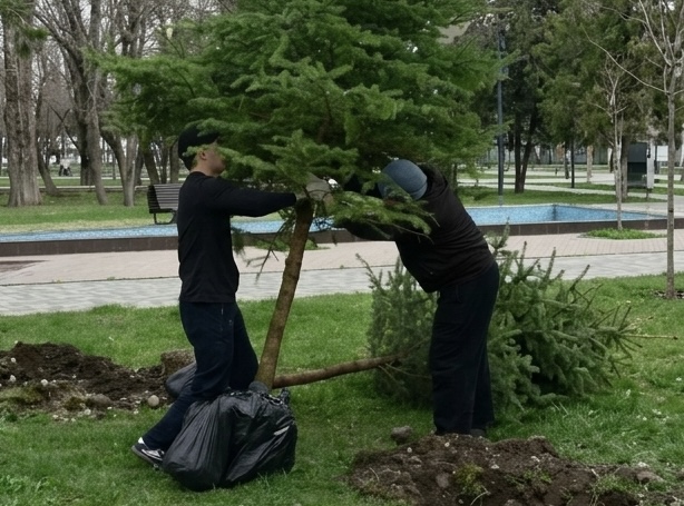 В Черкесске 5 апреля 2026 г. в парке РТИ состоялась экологическая акция